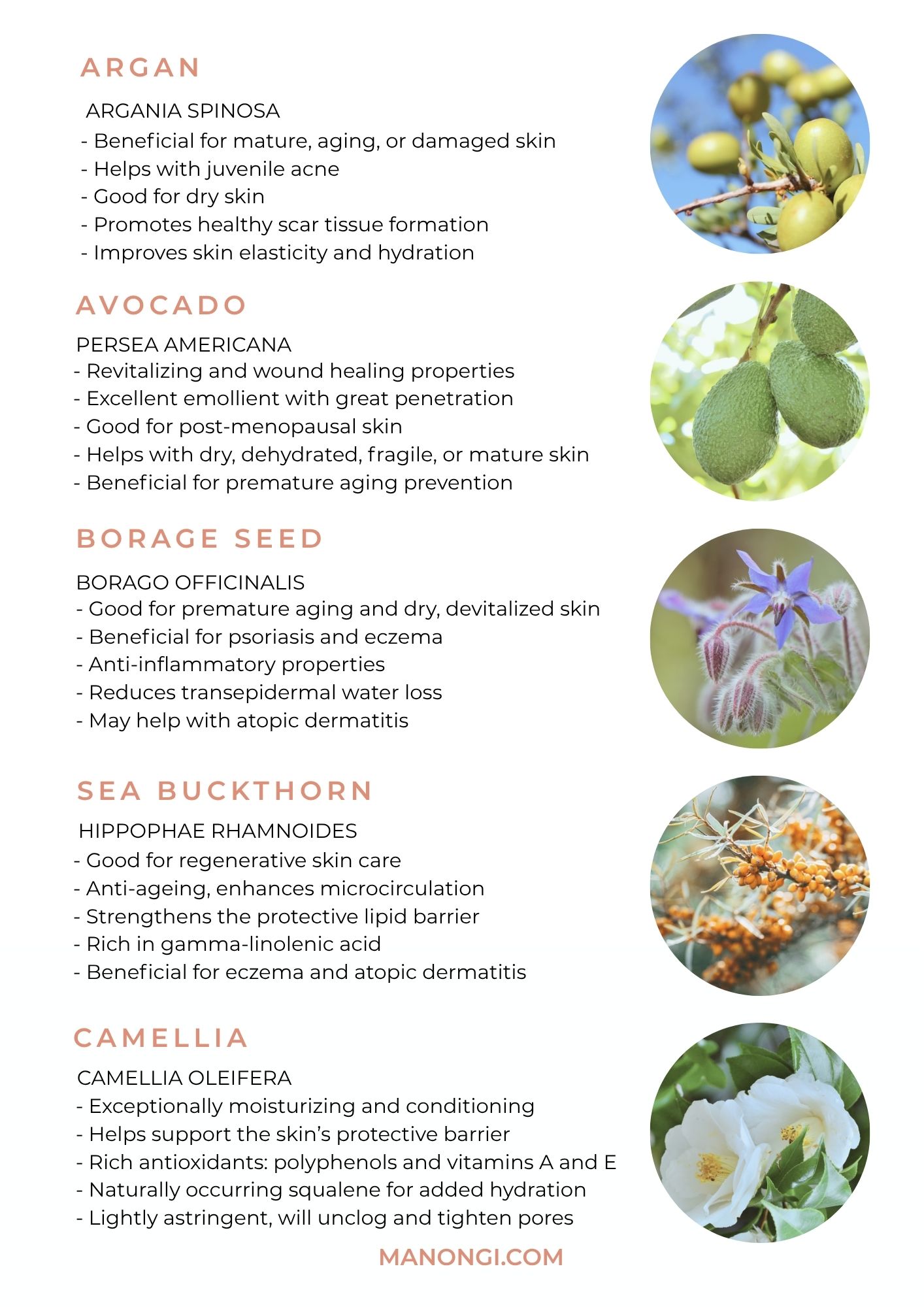 My Favourites Essential Oils For Glowing Skin - Ebook - Image 7