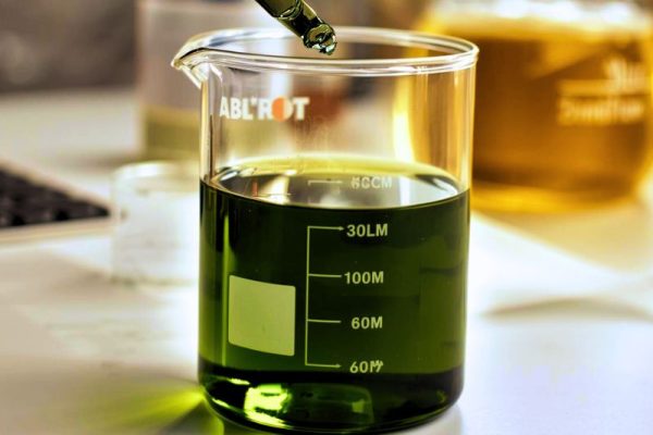Green coloured Tamanu oil in a beaker